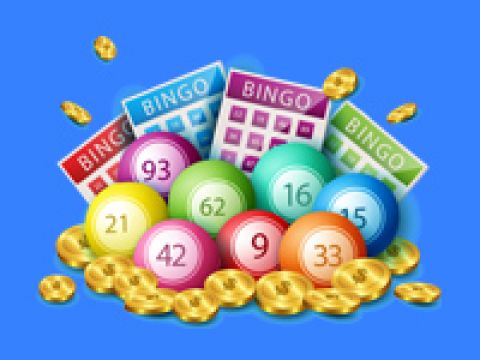 bingo-fi-480x360sh