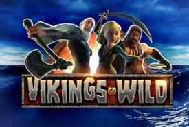 Vikings Go Wild review